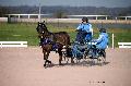 Photo n° 35759
Lisieux Février 2016. Photo Chevalandrieu
Mireille MARLIN
Affichée 28 fois
Ajoutée le 03/03/2016 17:03:55 par Nadinetoudic

--> Cliquer pour agrandir <--