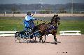 Photo n° 35760
Lisieux Février 2016. Photo Chevalandrieu
Mireille MARLIN
Affichée 19 fois
Ajoutée le 03/03/2016 17:03:55 par Nadinetoudic

--> Cliquer pour agrandir <--