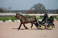 Photo n° 35761
Lisieux Février 2016. Photo Chevalandrieu
Céline JOURDAIN
Affichée 21 fois
Ajoutée le 03/03/2016 17:03:55 par Nadinetoudic

--> Cliquer pour agrandir <--