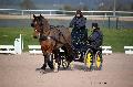 Photo n 35762&#10;Lisieux Fvrier 2016. Photo Chevalandrieu&#10;Cline JOURDAIN&#10;Affiche 22 fois&#10;Ajoute le 03/03/2016 17:03:55 par Nadinetoudic&#10;&#10;--> Cliquer pour agrandir <--
