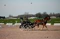 Photo n 35763&#10;Lisieux Fvrier 2016. Photo Chevalandrieu&#10;Jean-Louis RAGINEL&#10;Affiche 16 fois&#10;Ajoute le 03/03/2016 17:03:55 par Nadinetoudic&#10;&#10;--> Cliquer pour agrandir <--
