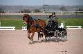 Photo n 35764&#10;Lisieux Fvrier 2016. Photo Chevalandrieu&#10;Jean-Louis RAGINEL&#10;Affiche 12 fois&#10;Ajoute le 03/03/2016 17:03:55 par Nadinetoudic&#10;&#10;--> Cliquer pour agrandir <--