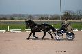 Photo n 35766&#10;Lisieux Fvrier 2016. Photo Chevalandrieu&#10;Marc MENET&#10;Affiche 21 fois&#10;Ajoute le 03/03/2016 17:03:55 par Nadinetoudic&#10;&#10;--> Cliquer pour agrandir <--