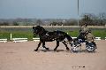 Photo n° 35766
Lisieux Février 2016. Photo Chevalandrieu
Marc MENET
Affichée 20 fois
Ajoutée le 03/03/2016 17:03:55 par Nadinetoudic

--> Cliquer pour agrandir <--