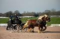 Photo n° 35767
Lisieux Février 2016. Photo Chevalandrieu
Christian DERREY
Affichée 24 fois
Ajoutée le 03/03/2016 17:03:55 par Nadinetoudic

--> Cliquer pour agrandir <--