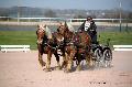 Photo n 35768&#10;Lisieux Fvrier 2016. Photo Chevalandrieu&#10;Christian DERREY&#10;Affiche 26 fois&#10;Ajoute le 03/03/2016 17:03:55 par Nadinetoudic&#10;&#10;--> Cliquer pour agrandir <--