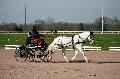 Photo n 35769&#10;Lisieux Fvrier 2016. Photo Chevalandrieu&#10;Carine ENGRAND&#10;Affiche 43 fois&#10;Ajoute le 03/03/2016 17:03:55 par Nadinetoudic&#10;&#10;--> Cliquer pour agrandir <--