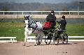 Photo n 35770&#10;Lisieux Fvrier 2016. Photo Chevalandrieu&#10;Carine ENGRAND&#10;Affiche 37 fois&#10;Ajoute le 03/03/2016 17:03:56 par Nadinetoudic&#10;&#10;--> Cliquer pour agrandir <--