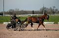 Photo n° 35771
Lisieux Février 2016. Photo Chevalandrieu
David GUERIN
Affichée 22 fois
Ajoutée le 03/03/2016 17:03:56 par Nadinetoudic

--> Cliquer pour agrandir <--