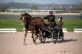 Photo n 35772&#10;Lisieux Fvrier 2016. Photo Chevalandrieu&#10;David GUERIN&#10;Affiche 15 fois&#10;Ajoute le 03/03/2016 17:03:56 par Nadinetoudic&#10;&#10;--> Cliquer pour agrandir <--