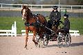 Photo n° 35773
Lisieux Février 2016. Photo Chevalandrieu
Johnny GAFFE
Affichée 28 fois
Ajoutée le 03/03/2016 17:03:56 par Nadinetoudic

--> Cliquer pour agrandir <--