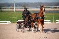 Photo n 35774&#10;Lisieux Fvrier 2016. Photo Chevalandrieu&#10;Johnny GAFFE&#10;Affiche 22 fois&#10;Ajoute le 03/03/2016 17:03:56 par Nadinetoudic&#10;&#10;--> Cliquer pour agrandir <--