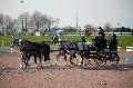 Photo n 35775&#10;Lisieux Fvrier 2016. Photo Chevalandrieu&#10;Christophe Nicolas&#10;Affiche 45 fois&#10;Ajoute le 03/03/2016 17:03:56 par Nadinetoudic&#10;&#10;--> Cliquer pour agrandir <--