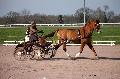 Photo n 35777&#10;Lisieux Fvrier 2016. Photo Chevalandrieu&#10;Francis LE NOUAILLE&#10;Affiche 46 fois&#10;Ajoute le 03/03/2016 17:13:52 par Nadinetoudic&#10;&#10;--> Cliquer pour agrandir <--