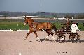 Photo n 35778&#10;Lisieux Fvrier 2016. Photo Chevalandrieu&#10;Francis LE NOUAILLE&#10;Affiche 65 fois&#10;Ajoute le 03/03/2016 17:13:52 par Nadinetoudic&#10;&#10;--> Cliquer pour agrandir <--