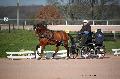 Photo n 35780&#10;Lisieux Fvrier 2016. Photo Chevalandrieu&#10;Jean-Franois HEITZMANN&#10;Affiche 46 fois&#10;Ajoute le 03/03/2016 17:13:52 par Nadinetoudic&#10;&#10;--> Cliquer pour agrandir <--