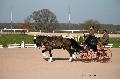 Photo n 35781&#10;Lisieux Fvrier 2016. Photo Chevalandrieu&#10;Sabine MIOSSEC DE LARRARD&#10;Affiche 45 fois&#10;Ajoute le 03/03/2016 17:13:52 par Nadinetoudic&#10;&#10;--> Cliquer pour agrandir <--