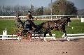 Photo n 35782&#10;Lisieux Fvrier 2016. Photo Chevalandrieu&#10;Sabine MIOSSEC DE LARRARD&#10;Affiche 83 fois&#10;Ajoute le 03/03/2016 17:13:52 par Nadinetoudic&#10;&#10;--> Cliquer pour agrandir <--