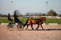 Photo n 35783&#10;Lisieux Fvrier 2016. Photo Chevalandrieu&#10;Raphal BERRARD&#10;Affiche 30 fois&#10;Ajoute le 03/03/2016 17:13:52 par Nadinetoudic&#10;&#10;--> Cliquer pour agrandir <--