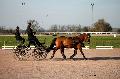 Photo n° 35783
Lisieux Février 2016. Photo Chevalandrieu
Raphaël BERRARD
Affichée 29 fois
Ajoutée le 03/03/2016 17:13:52 par Nadinetoudic

--> Cliquer pour agrandir <--