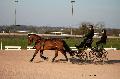 Photo n° 35784
Lisieux Février 2016. Photo Chevalandrieu
Raphaël BERRARD
Affichée 28 fois
Ajoutée le 03/03/2016 17:13:52 par Nadinetoudic

--> Cliquer pour agrandir <--