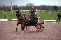 Photo n 35800&#10;CAILISIEUX2016.Jeunes Chevaux. Photo Chevalandrieu&#10;Yannick CHEREL. France&#10;Affiche 19 fois&#10;Ajoute le 07/03/2016 13:35:13 par Nadinetoudic&#10;&#10;--> Cliquer pour agrandir <--