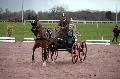 Photo n° 35800
CAILISIEUX2016.Jeunes Chevaux. Photo Chevalandrieu
Yannick CHEREL. France
Affichée 15 fois
Ajoutée le 07/03/2016 13:35:13 par Nadinetoudic

--> Cliquer pour agrandir <--