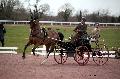 Photo n 35801&#10;CAILISIEUX2016.Jeunes Chevaux. Photo Chevalandrieu&#10;Yannick CHEREL. France&#10;Affiche 34 fois&#10;Ajoute le 07/03/2016 13:35:13 par Nadinetoudic&#10;&#10;--> Cliquer pour agrandir <--