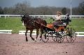 Photo n 35805&#10;CAILISIEUX2016.Jeunes Chevaux. Photo Chevalandrieu&#10;La VANEL. France&#10;Affiche 79 fois&#10;Ajoute le 07/03/2016 13:45:59 par Nadinetoudic&#10;&#10;--> Cliquer pour agrandir <--