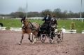Photo n 35806&#10;CAILISIEUX2016.Jeunes Chevaux. Photo Chevalandrieu&#10;Pierre-Richard LEGROS. France&#10;Affiche 28 fois&#10;Ajoute le 07/03/2016 13:45:59 par Nadinetoudic&#10;&#10;--> Cliquer pour agrandir <--