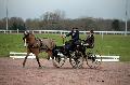 Photo n 35807&#10;CAILISIEUX2016.Jeunes Chevaux. Photo Chevalandrieu&#10;Pierre-Richard LEGROS. France&#10;Affiche 28 fois&#10;Ajoute le 07/03/2016 13:45:59 par Nadinetoudic&#10;&#10;--> Cliquer pour agrandir <--