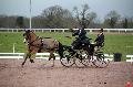 Photo n 35808&#10;CAILISIEUX2016.Jeunes Chevaux. Photo Chevalandrieu&#10;Pierre-Richard LEGROS. France&#10;Affiche 23 fois&#10;Ajoute le 07/03/2016 13:45:59 par Nadinetoudic&#10;&#10;--> Cliquer pour agrandir <--
