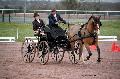 Photo n 35809&#10;CAILISIEUX2016.Jeunes Chevaux. Photo Chevalandrieu&#10;Pierre-Richard LEGROS. France&#10;Affiche 23 fois&#10;Ajoute le 07/03/2016 13:45:59 par Nadinetoudic&#10;&#10;--> Cliquer pour agrandir <--