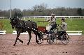 Photo n 35810&#10;CAILISIEUX2016.Jeunes Chevaux. Photo Chevalandrieu&#10;Franois DUTILLOY. France&#10;Affiche 21 fois&#10;Ajoute le 07/03/2016 13:45:59 par Nadinetoudic&#10;&#10;--> Cliquer pour agrandir <--