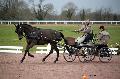 Photo n 35811&#10;CAILISIEUX2016.Jeunes Chevaux. Photo Chevalandrieu&#10;Franois DUTILLOY. France&#10;Affiche 16 fois&#10;Ajoute le 07/03/2016 13:45:59 par Nadinetoudic&#10;&#10;--> Cliquer pour agrandir <--