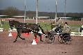 Photo n 35812&#10;CAILISIEUX2016.Jeunes Chevaux. Photo Chevalandrieu&#10;Franois DUTILLOY. France&#10;Affiche 22 fois&#10;Ajoute le 07/03/2016 13:45:59 par Nadinetoudic&#10;&#10;--> Cliquer pour agrandir <--