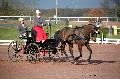 Photo n 35815&#10;CAILISIEUX2016.Jeunes Chevaux. Photo Chevalandrieu&#10;Thomas CLERCQ. France&#10;Affiche 29 fois&#10;Ajoute le 07/03/2016 13:45:59 par Nadinetoudic&#10;&#10;--> Cliquer pour agrandir <--