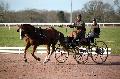 Photo n 35818&#10;CAILISIEUX2016.Jeunes Chevaux. Photo Chevalandrieu&#10;David GUERIN. France&#10;Affiche 16 fois&#10;Ajoute le 07/03/2016 13:45:59 par Nadinetoudic&#10;&#10;--> Cliquer pour agrandir <--