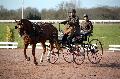 Photo n 35819&#10;CAILISIEUX2016.Jeunes Chevaux. Photo Chevalandrieu&#10;David GUERIN. France&#10;Affiche 17 fois&#10;Ajoute le 07/03/2016 13:45:59 par Nadinetoudic&#10;&#10;--> Cliquer pour agrandir <--