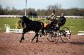 Photo n 35820&#10;CAILISIEUX2016.Jeunes Chevaux. Photo Chevalandrieu&#10;Marion VIGNAUD. France&#10;Affiche 22 fois&#10;Ajoute le 07/03/2016 13:45:59 par Nadinetoudic&#10;&#10;--> Cliquer pour agrandir <--