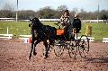 Photo n 35821&#10;CAILISIEUX2016.Jeunes Chevaux. Photo Chevalandrieu&#10;Marion VIGNAUD. France&#10;Affiche 43 fois&#10;Ajoute le 07/03/2016 13:45:59 par Nadinetoudic&#10;&#10;--> Cliquer pour agrandir <--