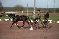 Photo n 35822&#10;CAILISIEUX2016.Jeunes Chevaux. Photo Chevalandrieu&#10;Marion VIGNAUD. France&#10;Affiche 24 fois&#10;Ajoute le 07/03/2016 13:45:59 par Nadinetoudic&#10;&#10;--> Cliquer pour agrandir <--