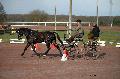 Photo n° 35822
CAILISIEUX2016.Jeunes Chevaux. Photo Chevalandrieu
Marion VIGNAUD. France
Affichée 22 fois
Ajoutée le 07/03/2016 13:45:59 par Nadinetoudic

--> Cliquer pour agrandir <--