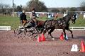 Photo n 35823&#10;CAILISIEUX2016.Jeunes Chevaux. Photo Chevalandrieu&#10;Marion VIGNAUD. France&#10;Affiche 26 fois&#10;Ajoute le 07/03/2016 13:45:59 par Nadinetoudic&#10;&#10;--> Cliquer pour agrandir <--