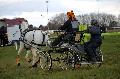 Photo n 35827&#10;CAI** LISIEUX 2016. Photo Chevalandrieu&#10;Susan HAWES. France&#10;Affiche 23 fois&#10;Ajoute le 08/03/2016 15:32:04 par Nadinetoudic&#10;&#10;--> Cliquer pour agrandir <--