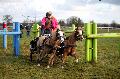 Photo n 35831&#10;CAI** LISIEUX 2016. Photo Chevalandrieu&#10;Mlanie VAN de BUNT. Pays-Bas&#10;Affiche 26 fois&#10;Ajoute le 08/03/2016 15:32:04 par Nadinetoudic&#10;&#10;--> Cliquer pour agrandir <--