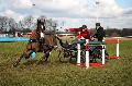 Photo n 35835&#10;CAI** LISIEUX 2016. Photo Chevalandrieu&#10;Ivan MEUWIS. Belgique&#10;Affiche 30 fois&#10;Ajoute le 08/03/2016 15:32:04 par Nadinetoudic&#10;&#10;--> Cliquer pour agrandir <--