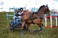 Photo n 35837&#10;CAI** LISIEUX 2016. Photo Chevalandrieu&#10;Jean-Michel OLIVE. France&#10;Affiche 26 fois&#10;Ajoute le 08/03/2016 15:32:04 par Nadinetoudic&#10;&#10;--> Cliquer pour agrandir <--