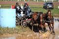 Photo n° 35841
CAI** LISIEUX 2016. Photo Chevalandrieu
Etienne LOUESSE. Belgique
Affichée 35 fois
Ajoutée le 09/03/2016 14:40:09 par Nadinetoudic

--> Cliquer pour agrandir <--