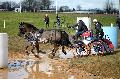 Photo n 35843&#10;CAI** LISIEUX 2016. Photo Chevalandrieu&#10;Franck GRIMONPREZ. France&#10;Affiche 37 fois&#10;Ajoute le 09/03/2016 14:40:09 par Nadinetoudic&#10;&#10;--> Cliquer pour agrandir <--